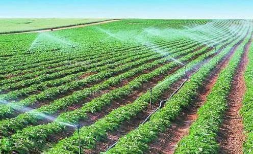 ts大鸡巴农田高 效节水灌溉